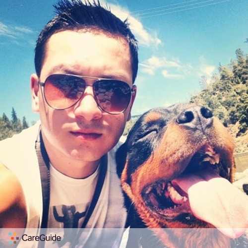 Pet Care Provider Frankie A's Profile Picture