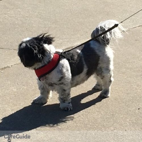 Pet Care Provider Deborah S's Profile Picture