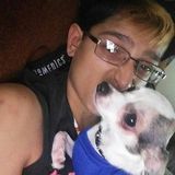 Loving Pet Sitting Available Now!