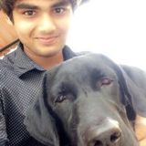 Searching for a Pet Sitting Professional Opportunity in Kitchener