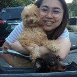 Loving Pet Care Provider in North York
