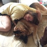 Dog Sitter and Dog Walking