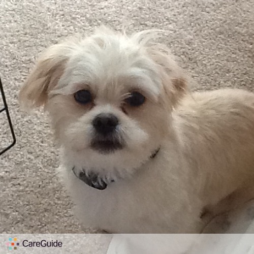 Pet Care Job Anna O's Profile Picture