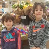 Looking for summer child care in Halifax for 2 boys