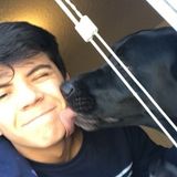 I am a proud dog AND cat lover! I have 4 dogs and 2 cats myself and wouldn't mind a hundred more!