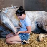 Available for pet sitting (including horses/farm animals) in and around Belton TX