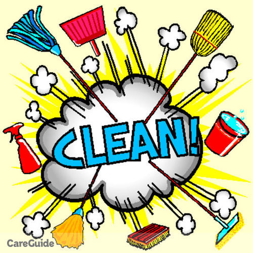 Housekeeper Provider Lindsay D's Profile Picture