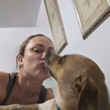 My name is Kimberly. Ive been walking dogs, pet sitting over 10 yrs. I great with all animals ! Animals are my passion