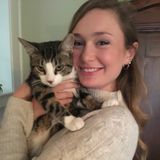 Loving pet sitter/dog walker available whenever needed!