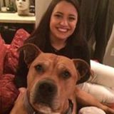 Most Qualified Dog Walker in Salt Lake City