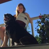 Animal lover wanting to share the love.