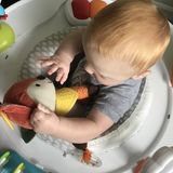 FT Nanny Required for Ridiculously Cute 6 Month Old (Sept - Christmas)