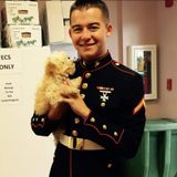 Marine corps veteran Dog Walker