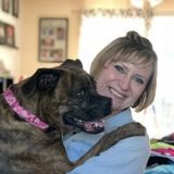 Interviewing For a Dog Sitting Professional Job in Lancaster, New York