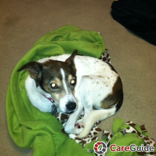 Pet Care Job Rusty P's Profile Picture