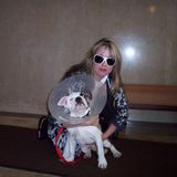 Kind loving animal trainer by trade, all pet services provided Puppy- Adult