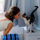 I am a veterinarian who has over 3 years of experience dedicated to patient care and I can be a great pet sitting/walking