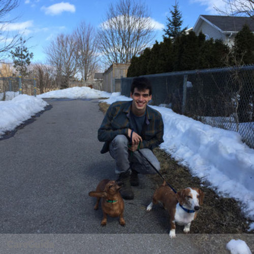 Pet Care Provider Nicolas Kaiser's Profile Picture