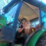 EXCELLENT HOUSE SITTER with EXPERIENCE with pets and livestock.