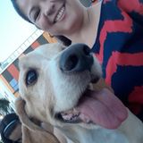 Soy amante de los perritos