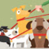 Pet Care Provider in McKinney, Texas