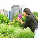 Interested In a Sitter Opportunity in Brooklyn