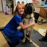 Pre-Veterinary medicine student with a passion for animals. I am flexible, responsible, and knowledgeable.