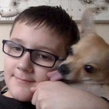 I will offer dog sitting and dog walking jobs and will take good care
