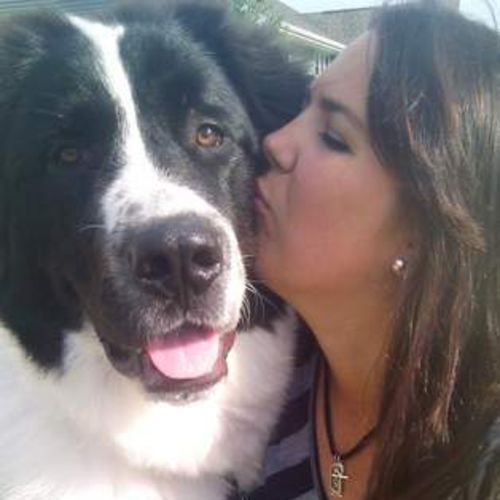 Pet Care Provider Tara C's Profile Picture