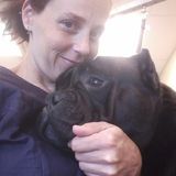 Loving Pet Groomer Available Immediately