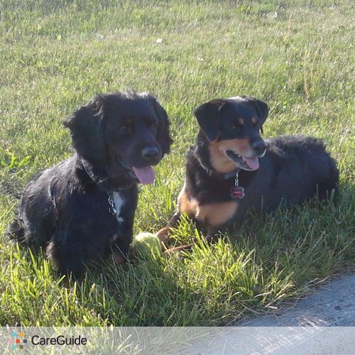 Pet Care Provider Aida Aae's Profile Picture