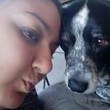 Interested In a Pet Carer Job in Conroe
