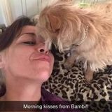 Pet Whisperer, Dog Walker, Cat feeder, Bird loving!