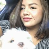 Searching for an Animal Caregiver Opportunity in Boynton Beach