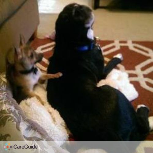 Pet Care Job 's Profile Picture