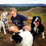 Your Pup's Next Playmate!