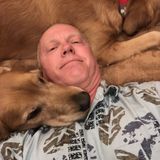 Trustworthy Animal Caregiver in Saint Charles