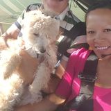I would love to do part time job to do as a petsitter.