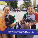 Me llamo Sara, ador los animales en casa tengo 2 perros,disfruto tiempo con blo espaol