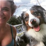 Orlando, Florida House Sitting Provider
