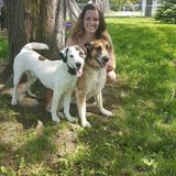 Experienced dog owner looking for extra work!