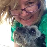 Professional Pet Sitter in Mountain Home, Arkansas