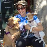 The Best Care For Your Pet While You Are Away