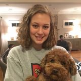 Caring and Responsible Dog Sitter