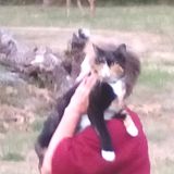 I provide peace of mind keeping your home and pets safe, clean and happy.