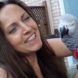 Present House Sitter in Pierrefonds, Quebec