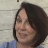Newbie House Sitter