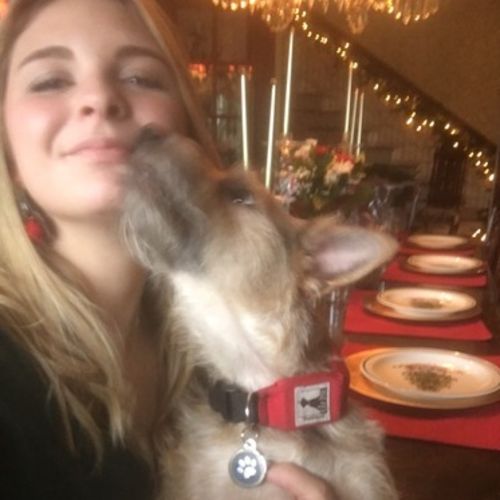 House Sitter Job Zoey Stull's Profile Picture