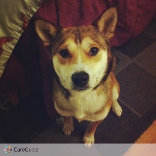 Pet Care Provider 's Profile Picture