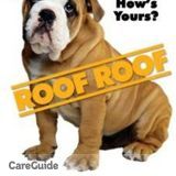 Roof Roof- Findley Roofing